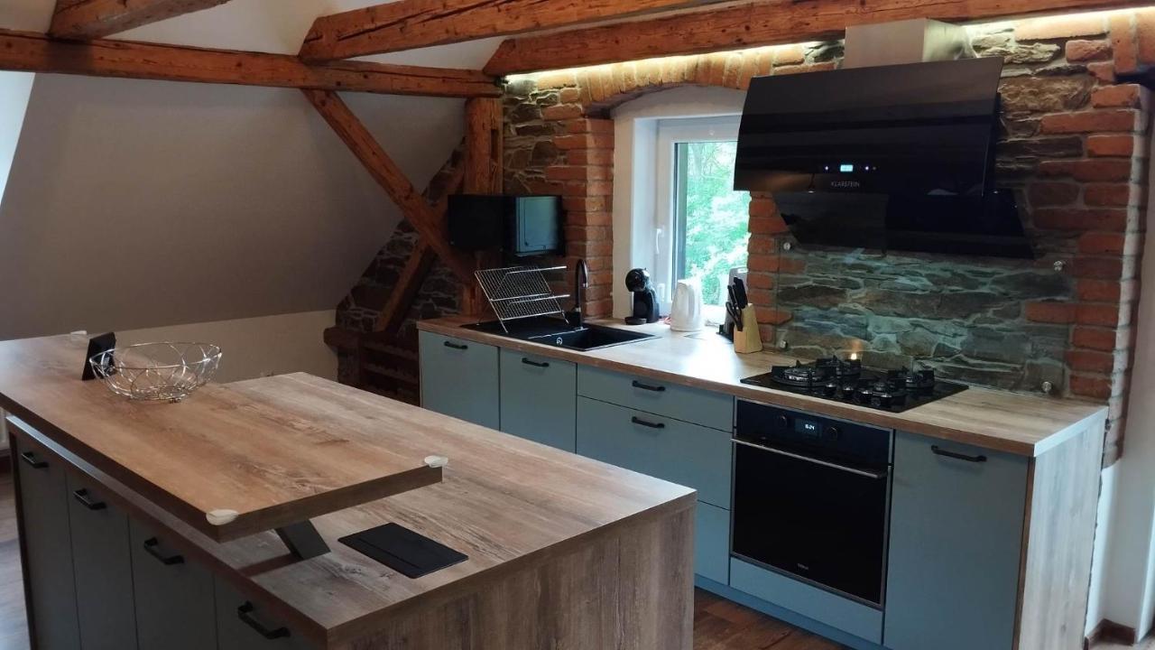 Apartman Albreit 2 Jáchymov Exteriér fotografie