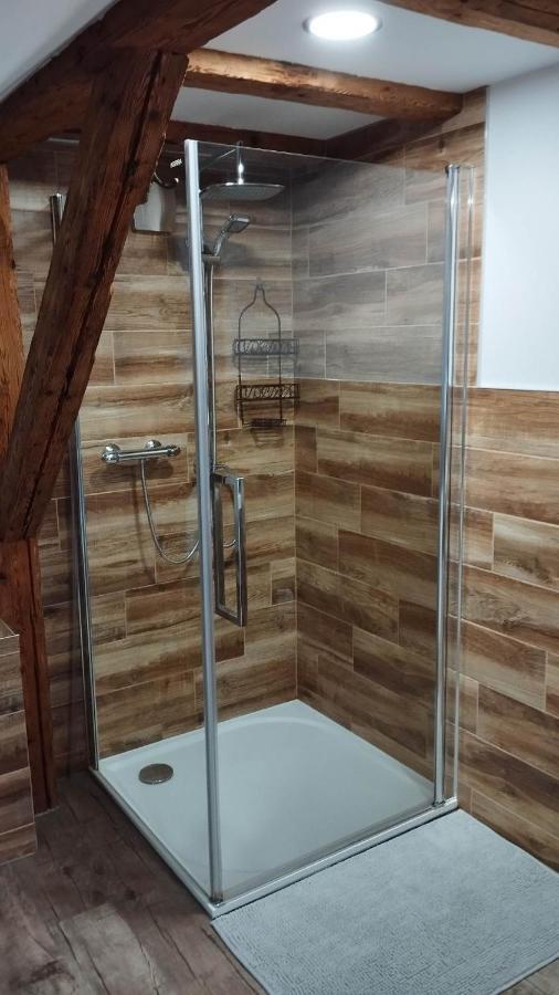Apartman Albreit 2 Jáchymov Exteriér fotografie